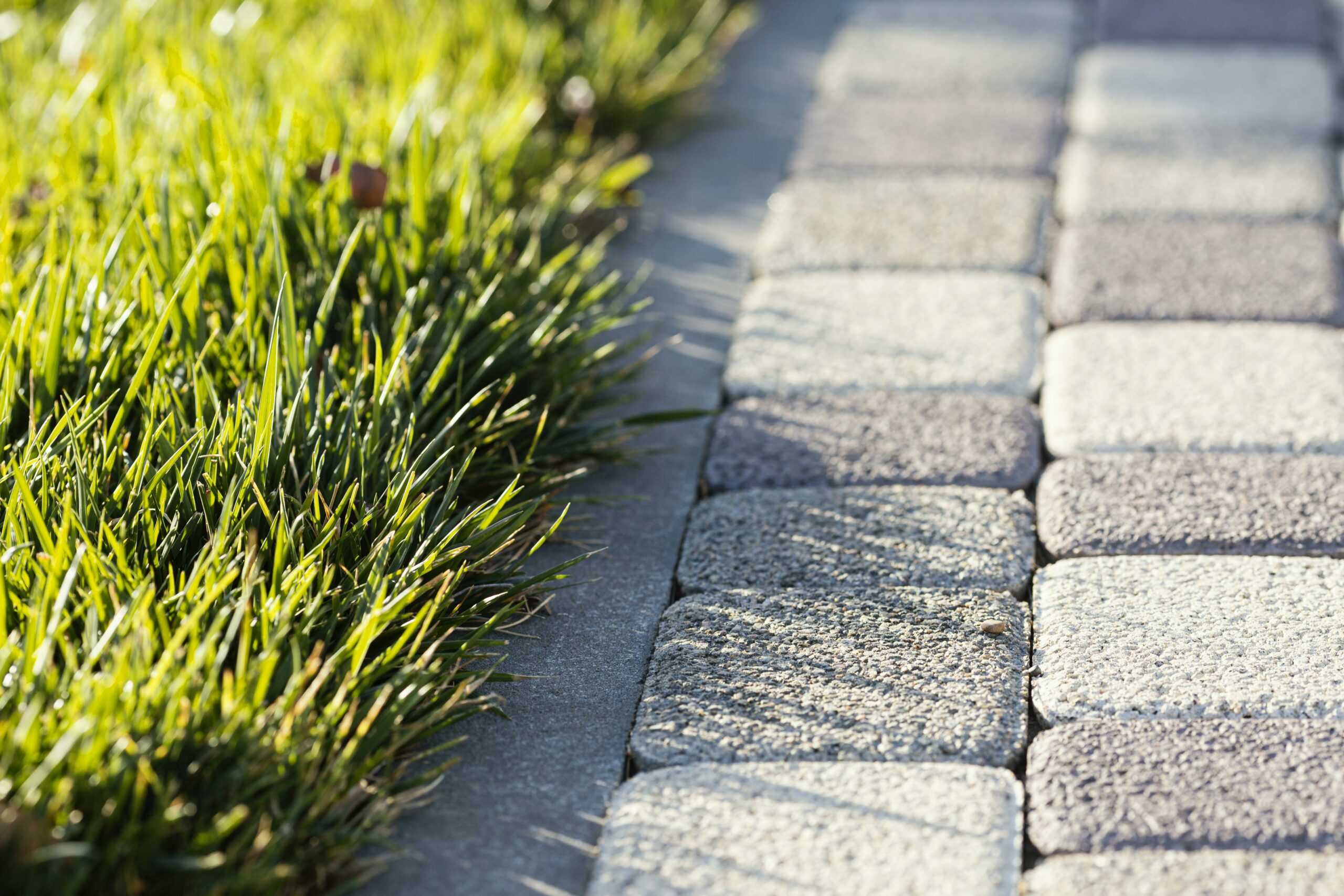 Patio made of beautiful and versatile paver stones